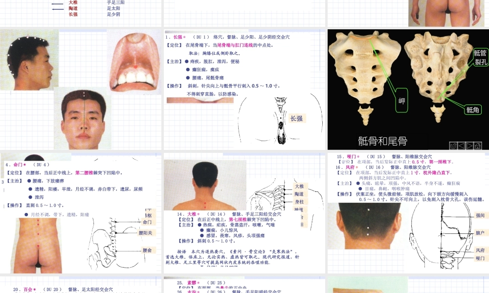 90人体经络穴位图谱13督脉(1).ppt