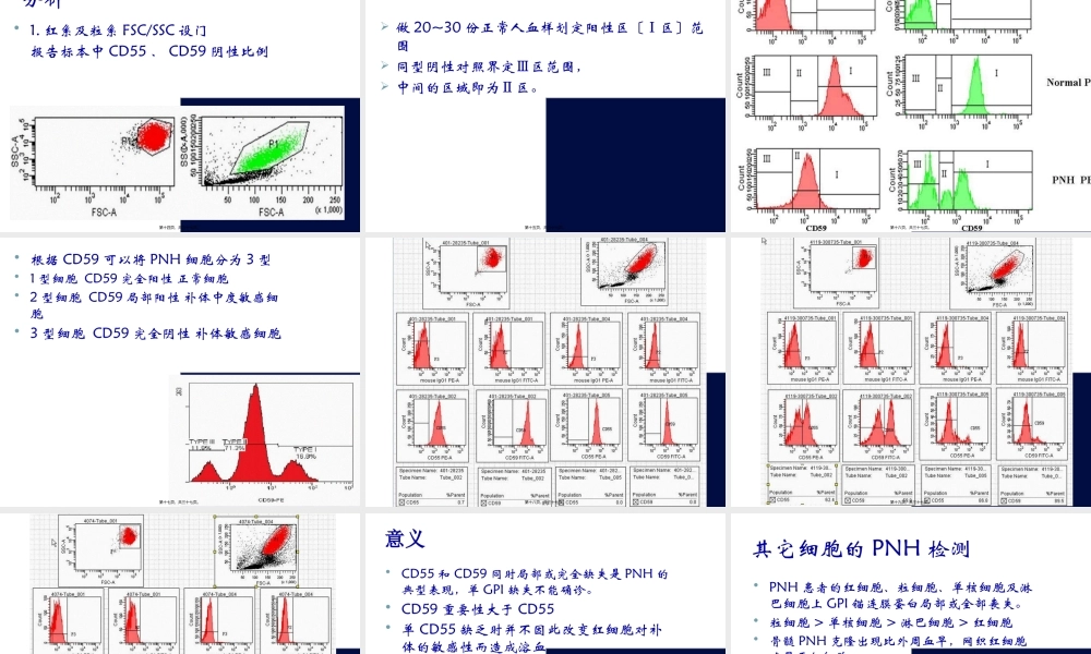 PNH-阵发性睡眠性血红蛋白尿的流式细胞术检测.pptx