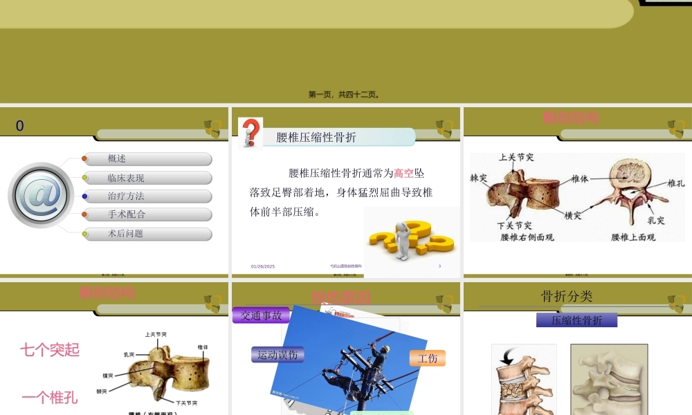 ppt-腰椎手术配合2.pptx