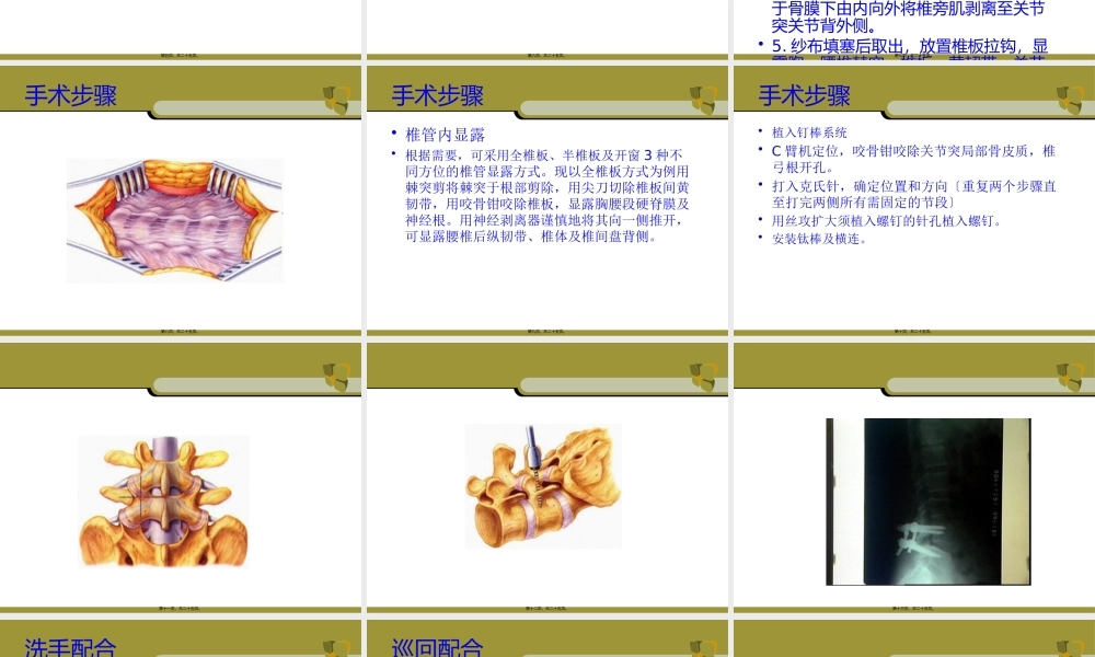 ppt-腰椎手术配合.pptx