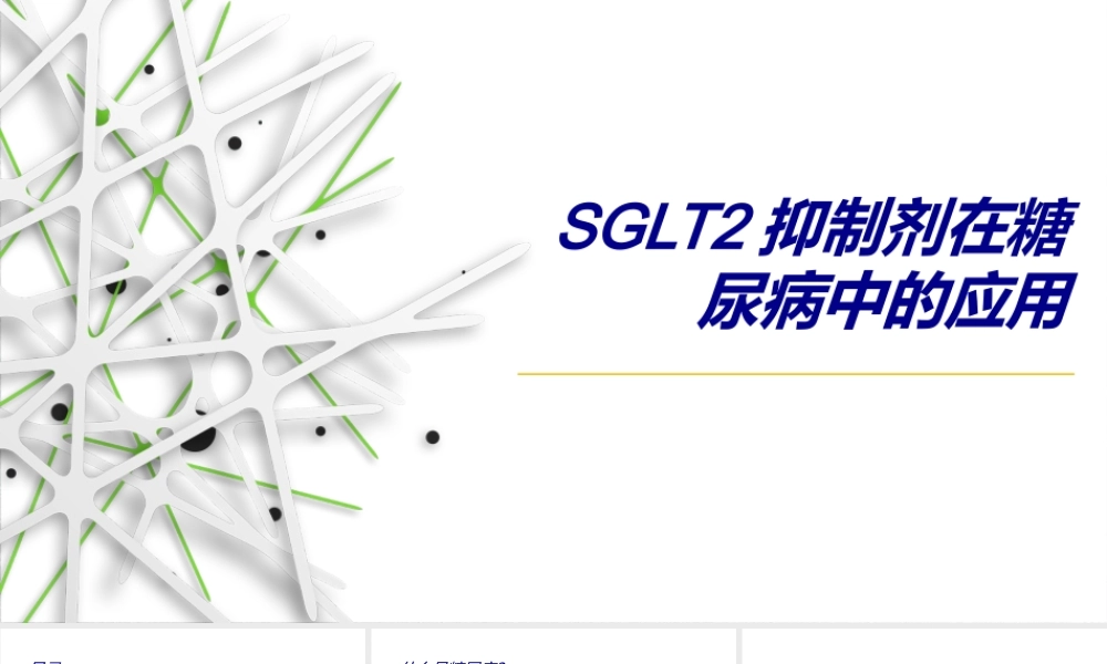 SGLT2抑制剂在糖尿病中的应用.ppt
