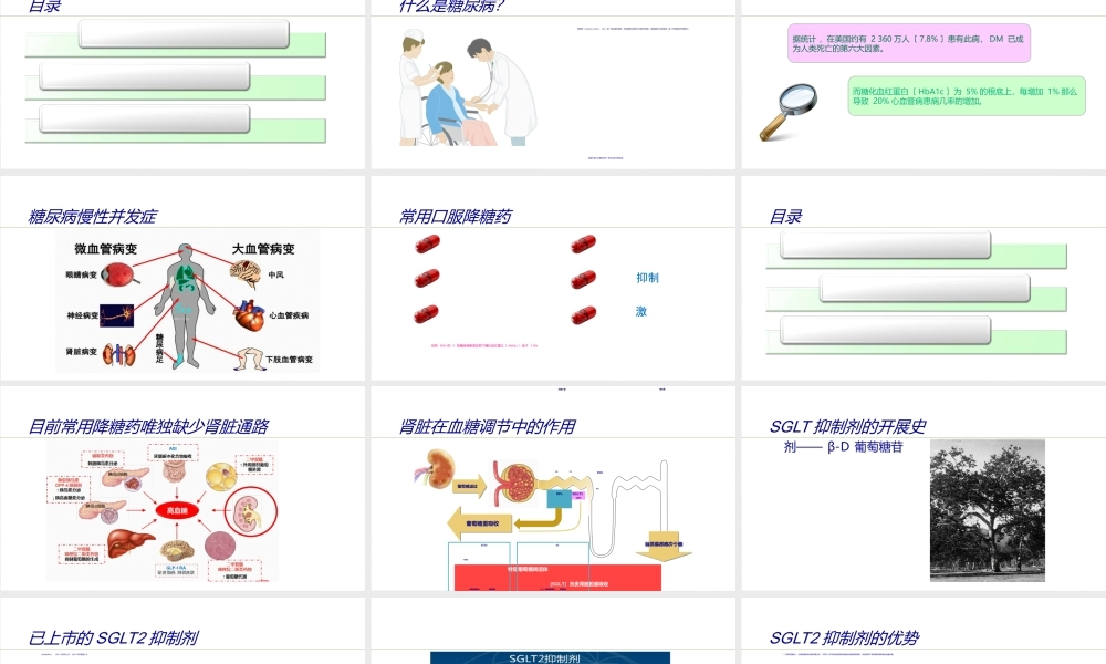 SGLT2抑制剂在糖尿病中的应用.ppt
