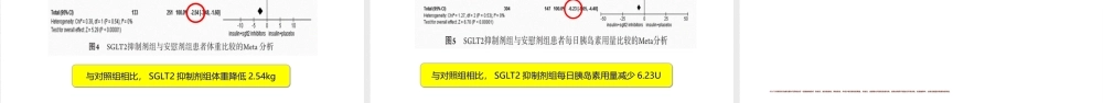SGLT2抑制剂在糖尿病中的应用.ppt