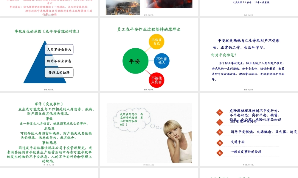 SHE(安全、健康、环保)剖析.pptx