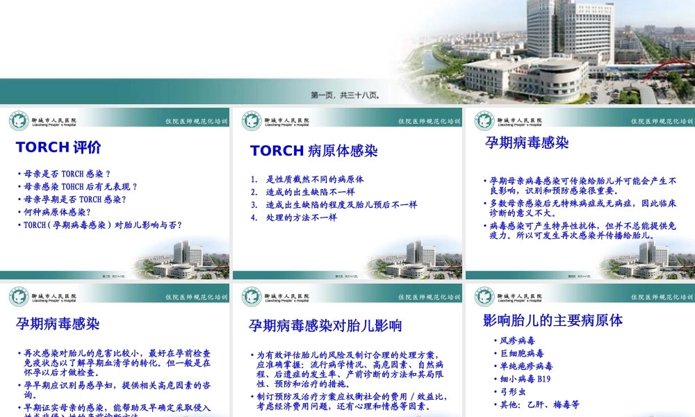 TORCH感染与新生儿脑损伤.pptx