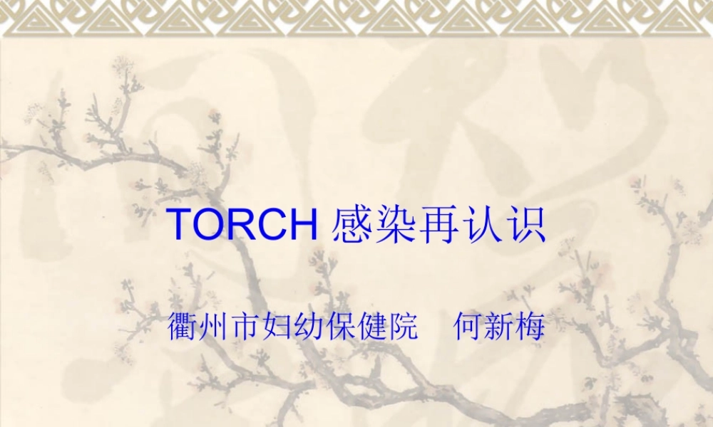 TORCH感染再认识.pptx