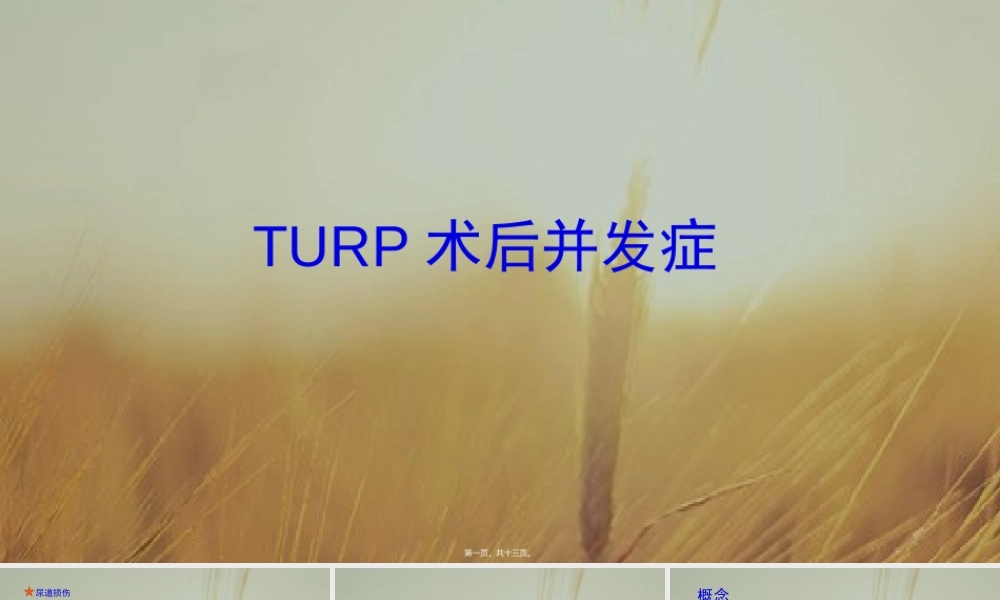 TURP术后并发症.ppt