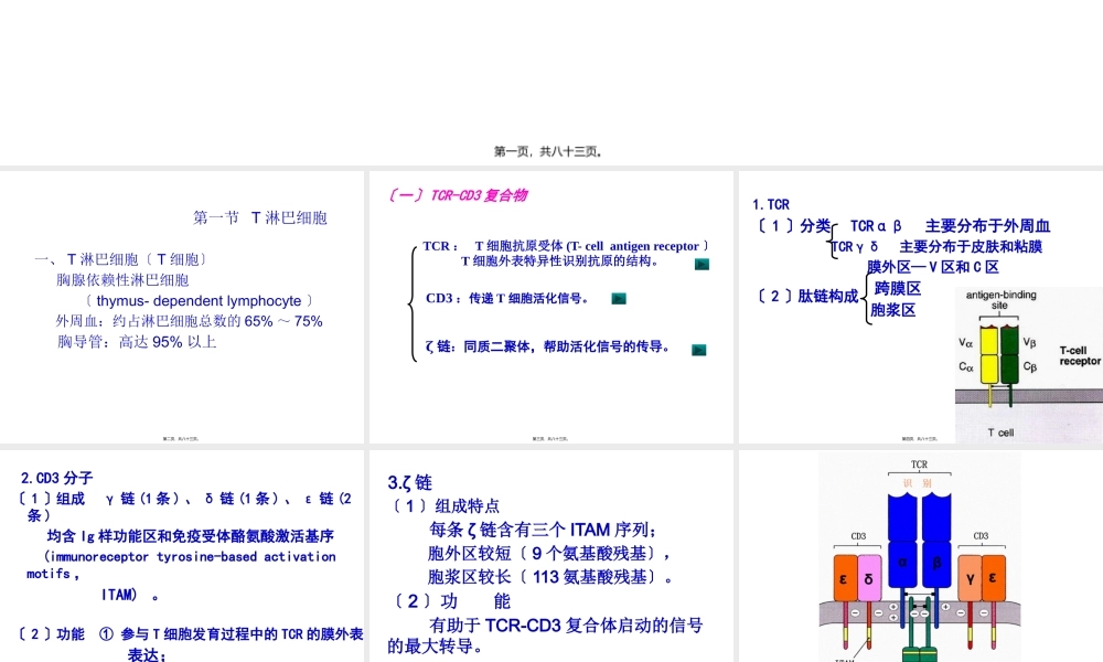 T淋巴细胞及其介导免疫应答.pptx