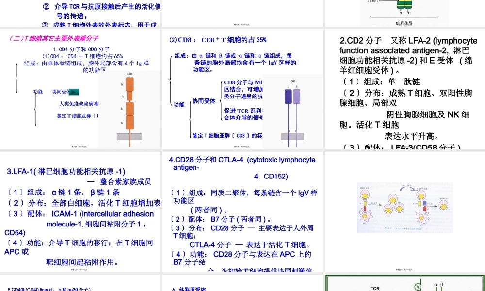 T淋巴细胞及其介导免疫应答.pptx
