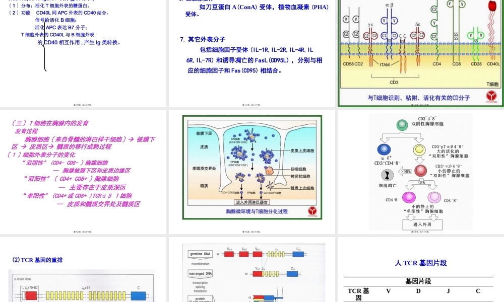 T淋巴细胞及其介导免疫应答.pptx