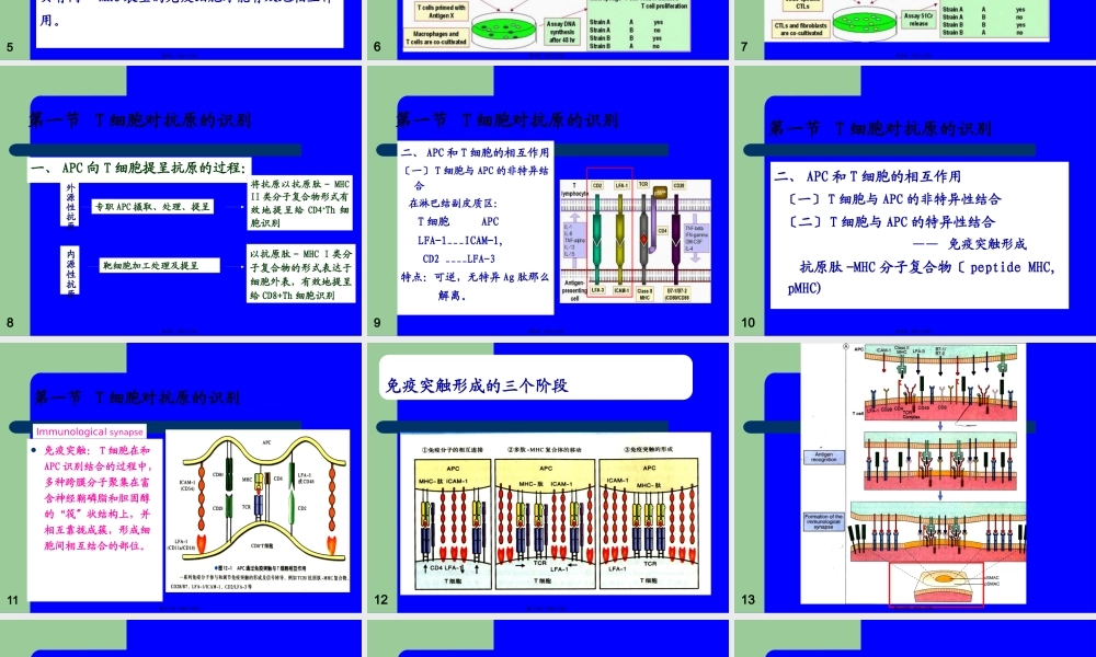 T淋巴细胞介导的细胞免疫应答.pptx