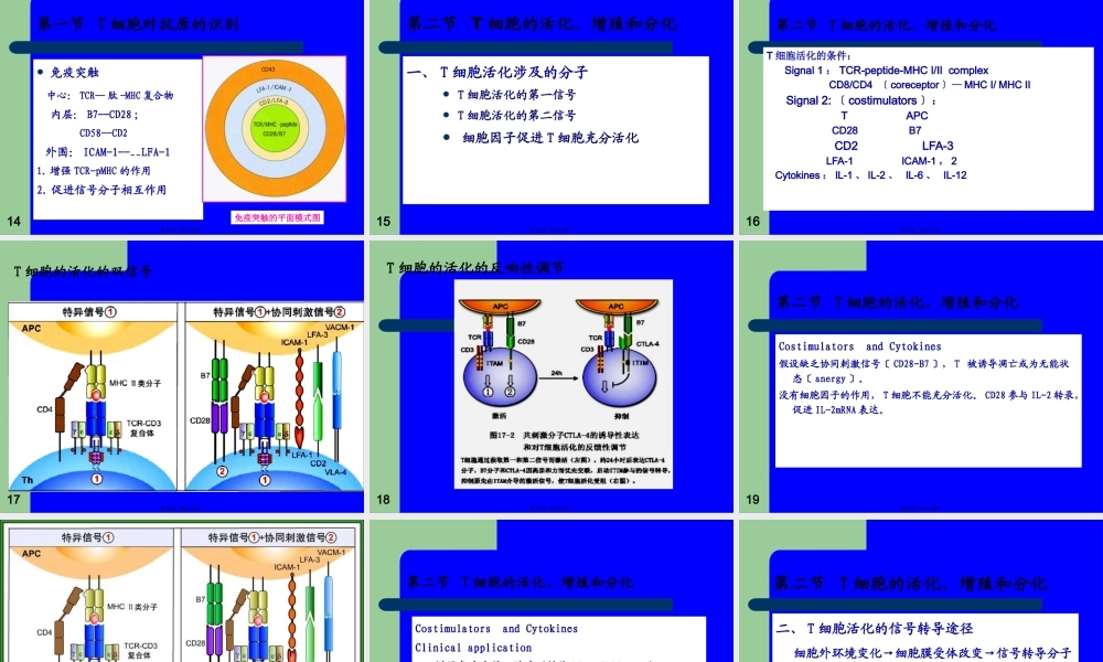 T淋巴细胞介导的细胞免疫应答.pptx