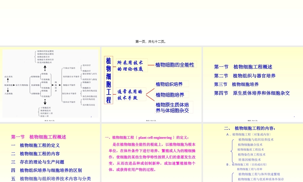 xb四、植物组织与细胞培养.pptx