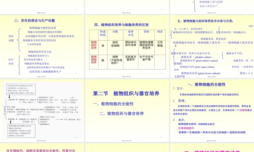 xb四、植物组织与细胞培养.pptx