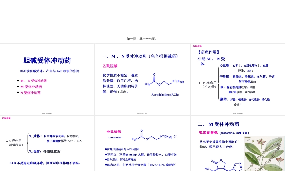 Y第6-7章拟胆碱药.pptx