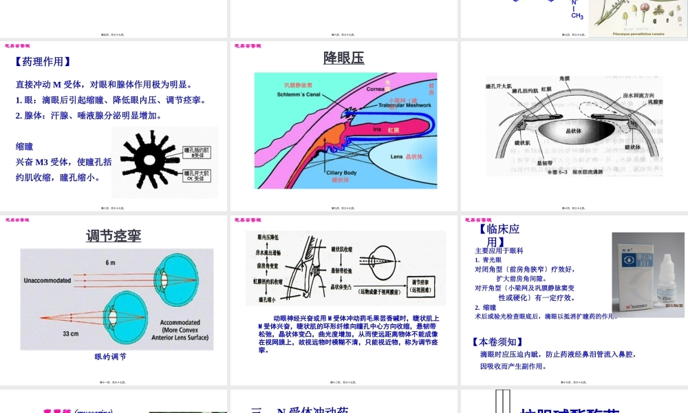 Y第6-7章拟胆碱药.pptx