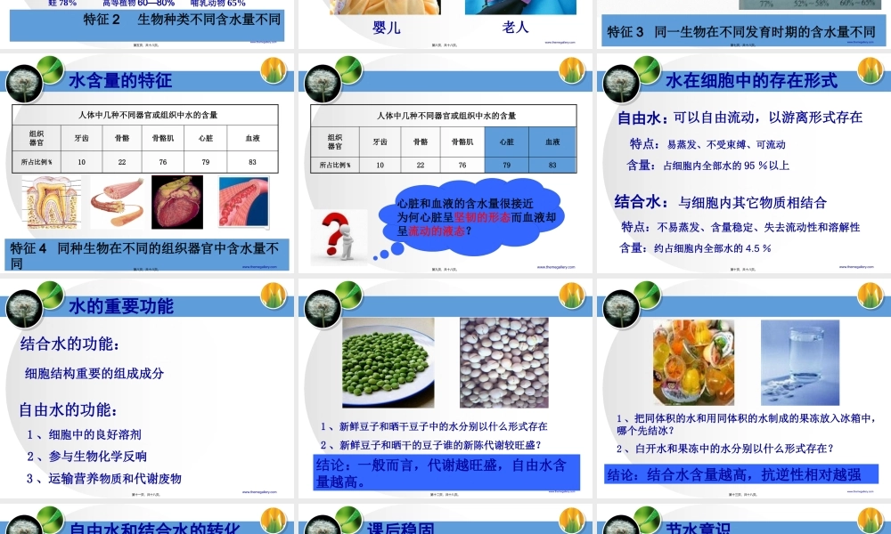 yml细胞中无机物.pptx