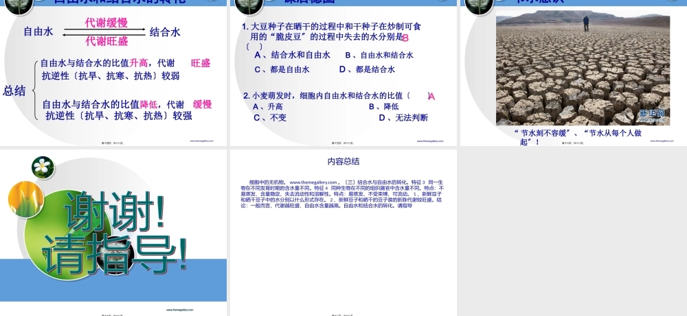 yml细胞中无机物.pptx