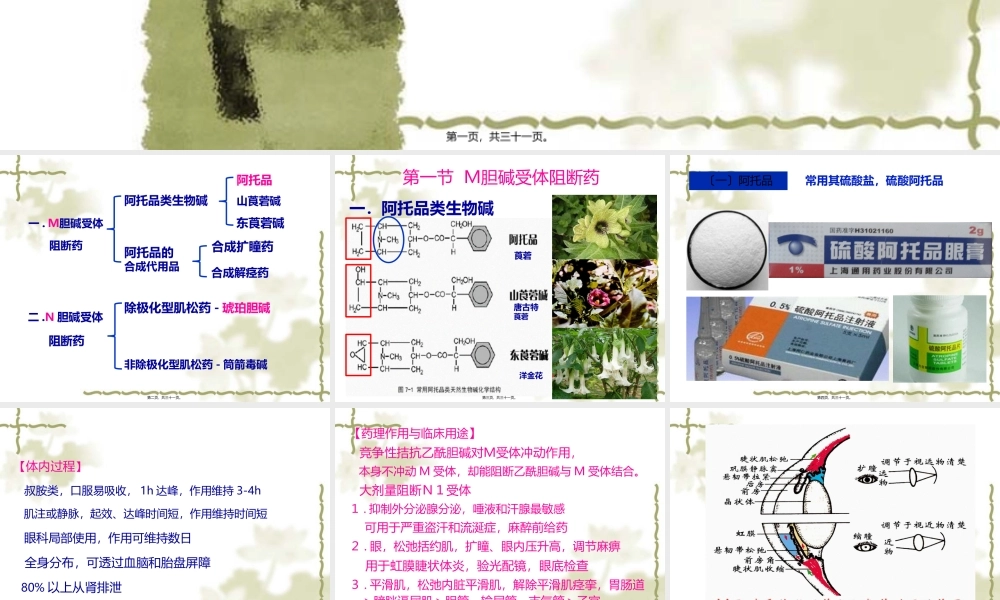 y7.胆碱受体阻断药3.31.pptx