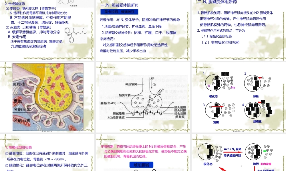 y7.胆碱受体阻断药3.31.pptx