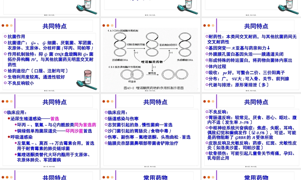 yl人工合成抗菌药.pptx
