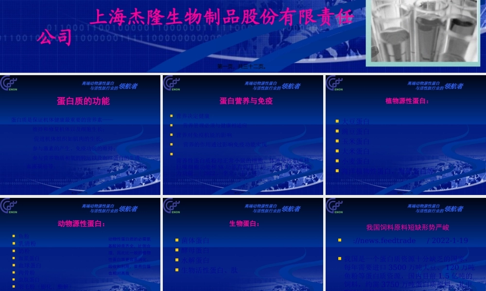 ZPYX-蛋白营养粉GAP818-20110216.pptx