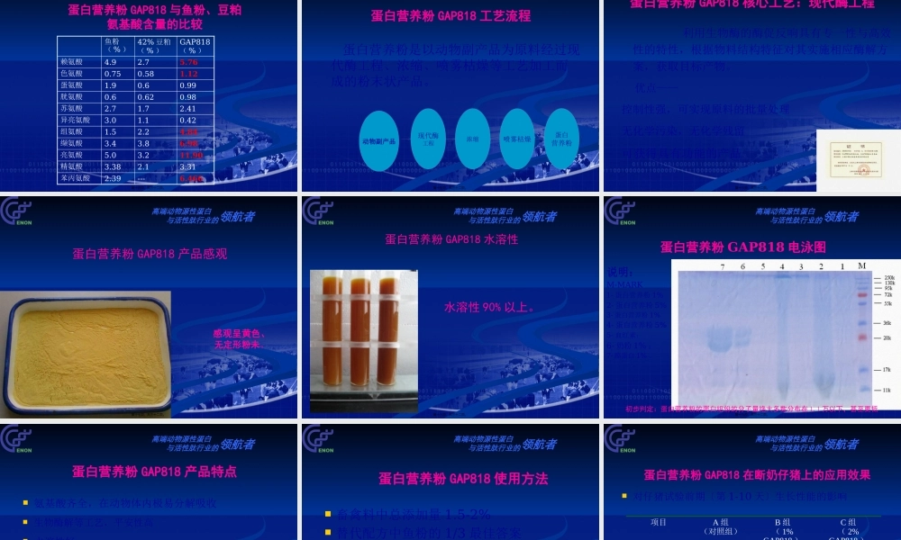 ZPYX-蛋白营养粉GAP818-20110216.pptx