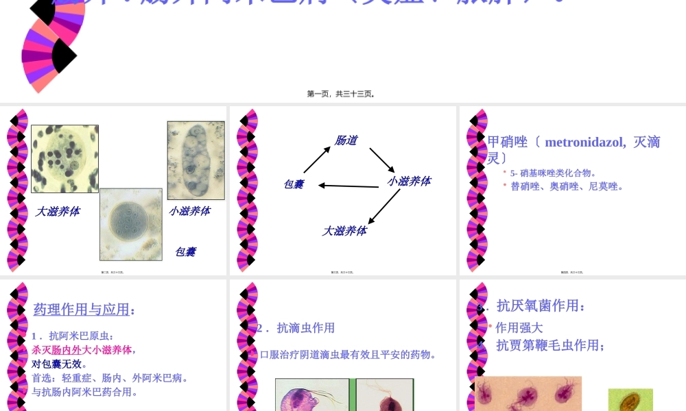 [所有分类]抗阿米巴虫驱肠虫药.pptx