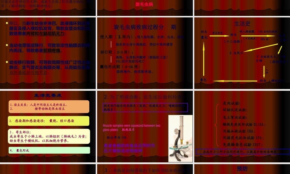 [人体寄生虫学]病例讨论——病例2.pptx