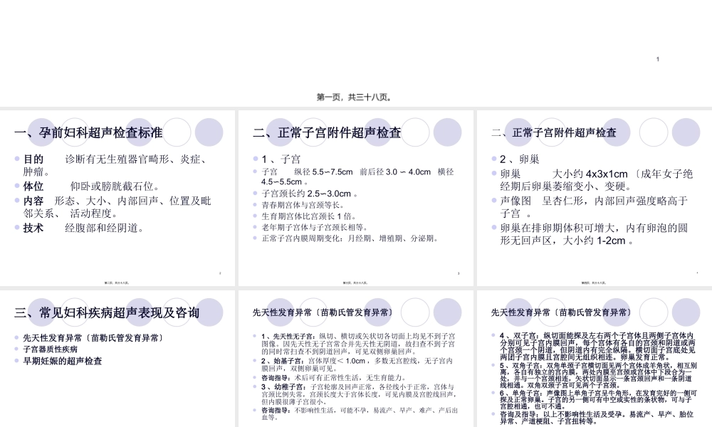 z妇科超声检查指南.pptx