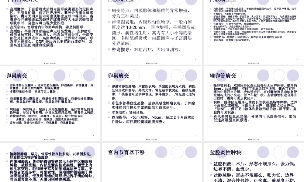 z妇科超声检查指南.pptx