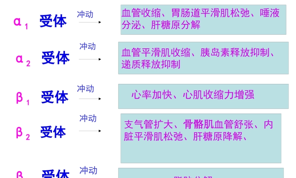 α激动药、β--激动药指导.pptx