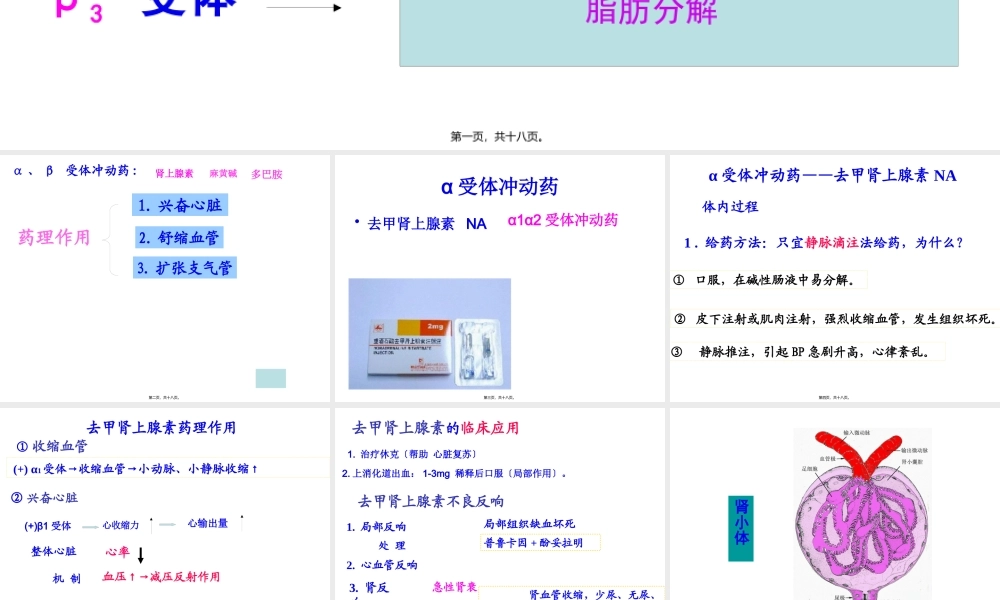 α激动药、β--激动药指导.pptx