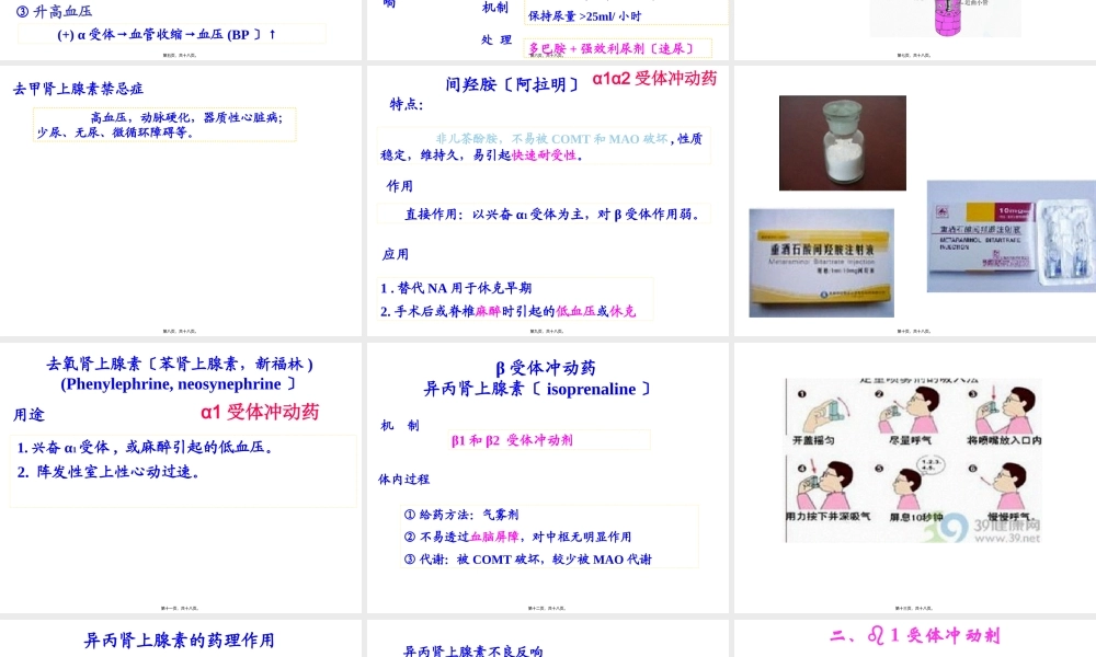 α激动药、β--激动药指导.pptx