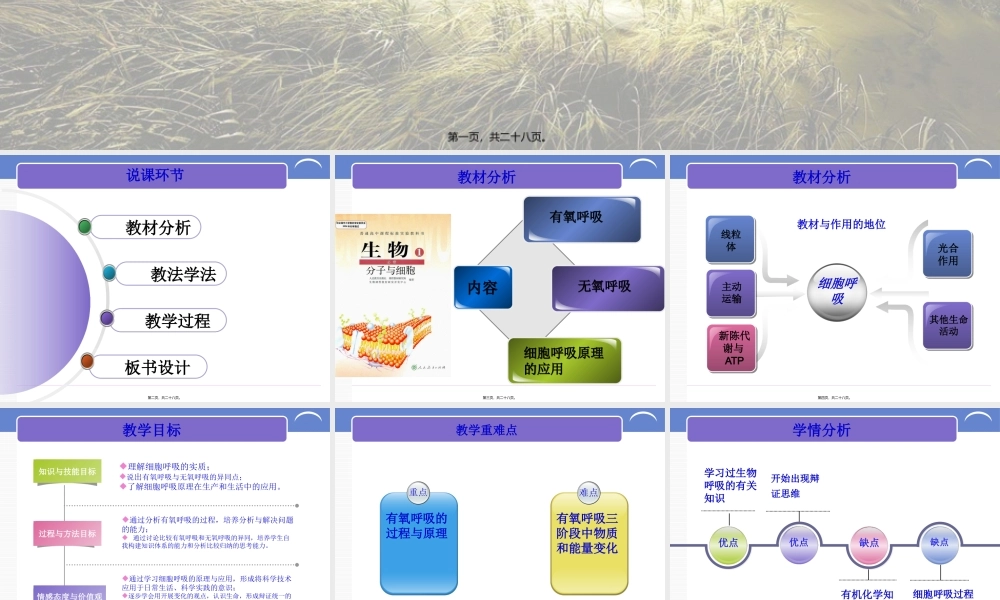 《ATP的主要来源-细胞呼吸》说课稿.pptx