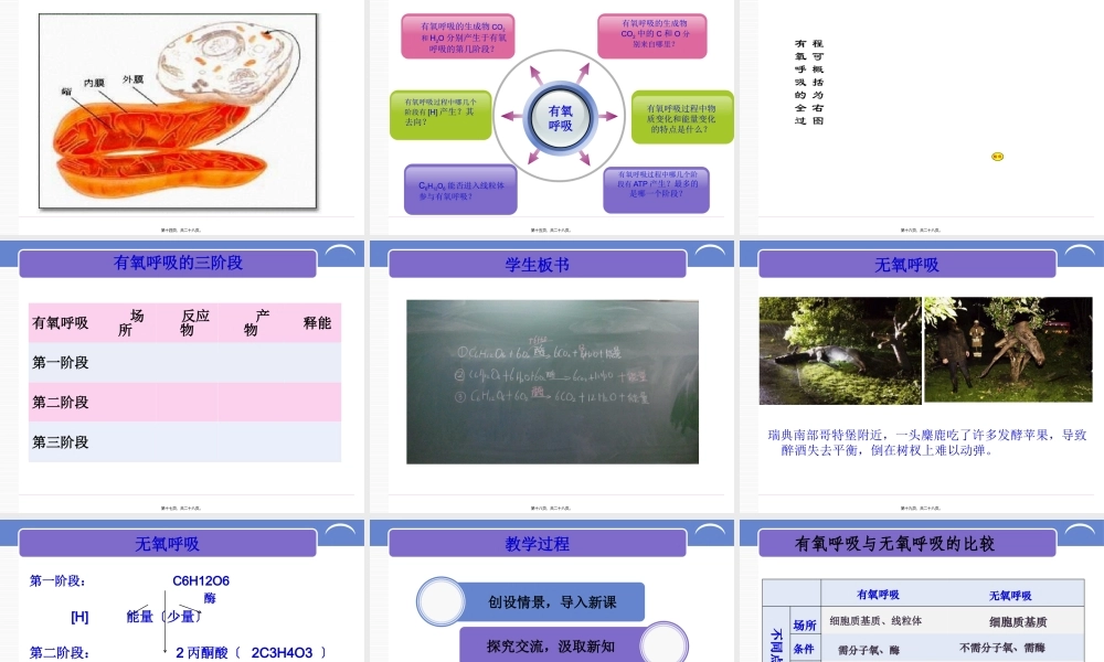 《ATP的主要来源-细胞呼吸》说课稿.pptx