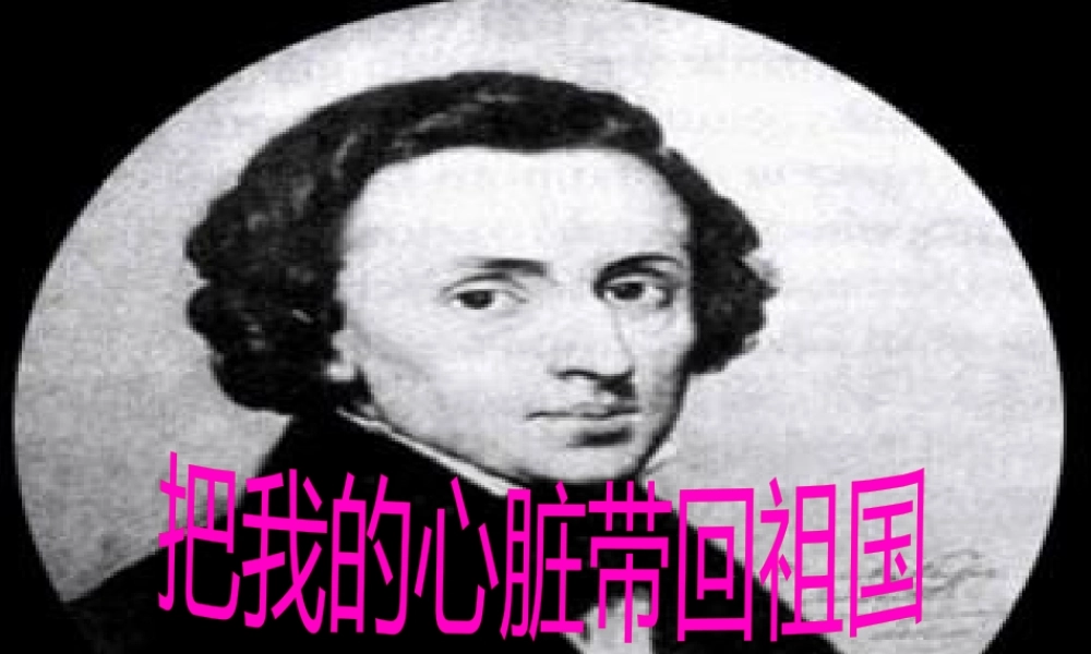 《把我的心脏带回祖国》PPT.pptx