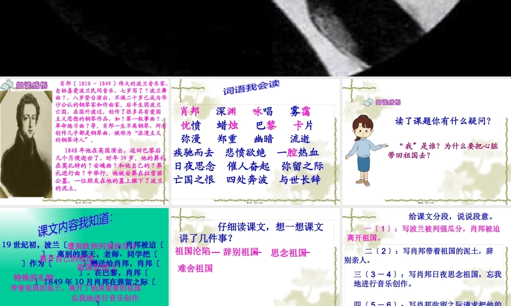 《把我的心脏带回祖国》PPT.pptx