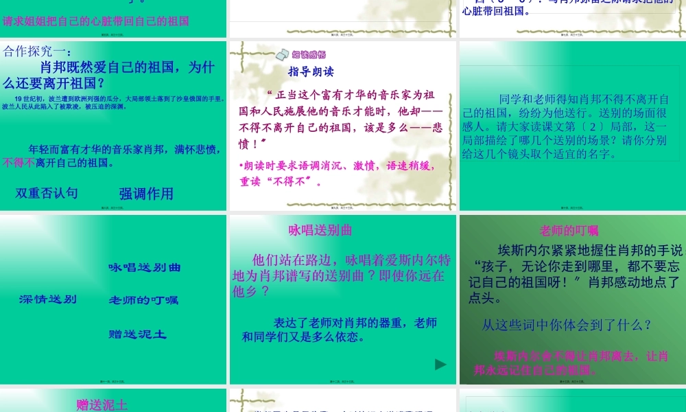 《把我的心脏带回祖国》PPT.pptx