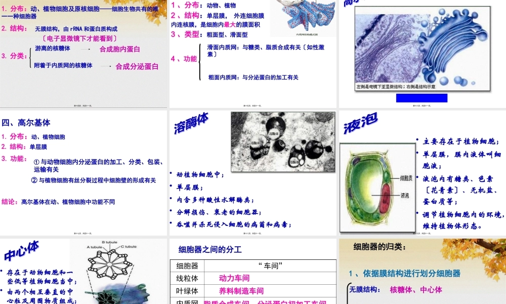 《细胞器——系统内的分工合作》(共48张PPT).pptx