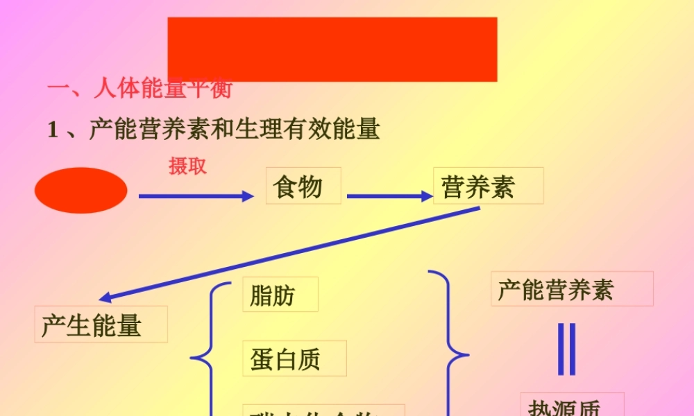 《食品营养学》人体能量需要.pptx