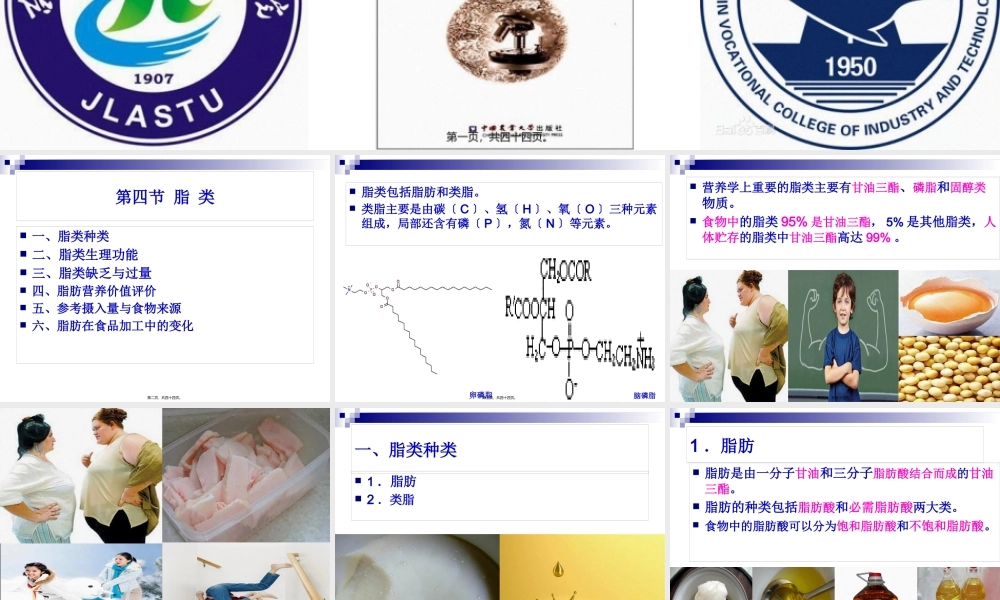 《食品营养与卫生》-第四讲-脂-类-2016测试版.pptx