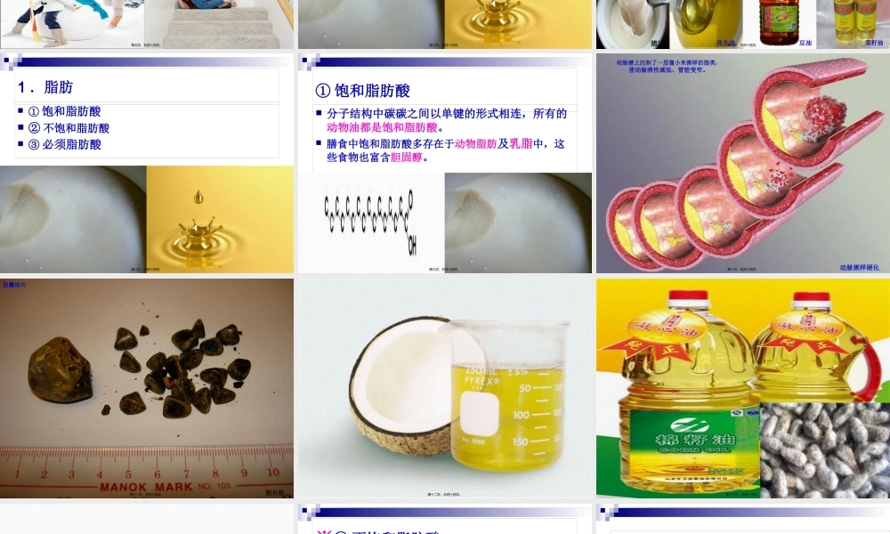 《食品营养与卫生》-第四讲-脂-类-2016测试版.pptx