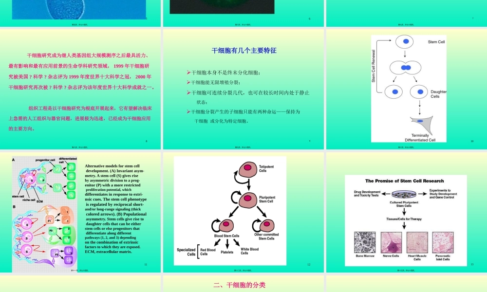 【PPT】干细胞研究及其应用概况.pptx