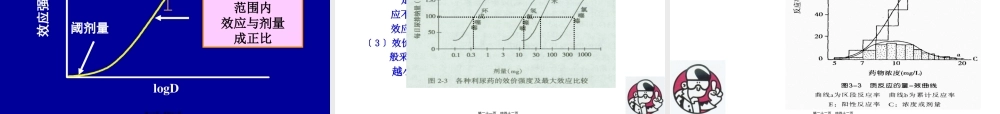 【若风制作】药效学(2012.8五年本).pptx