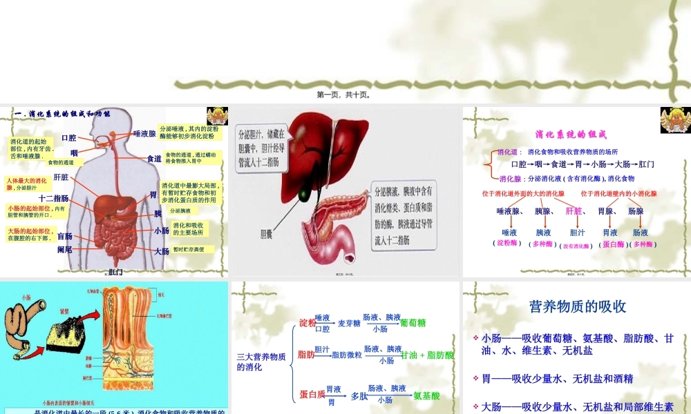 一消化系统的组成和功能.pptx