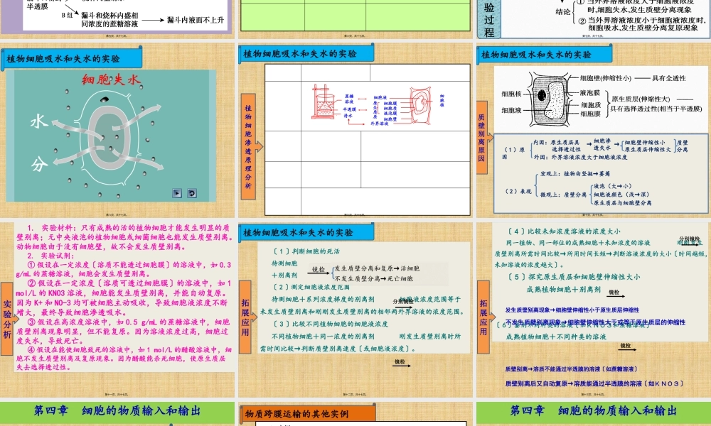 一轮复习4--细胞的物质输入和输出.pptx