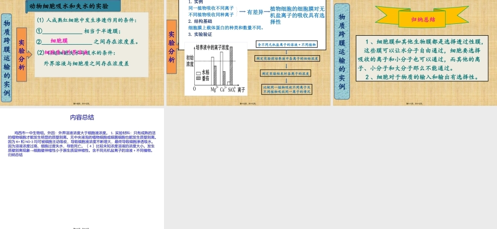 一轮复习4--细胞的物质输入和输出.pptx