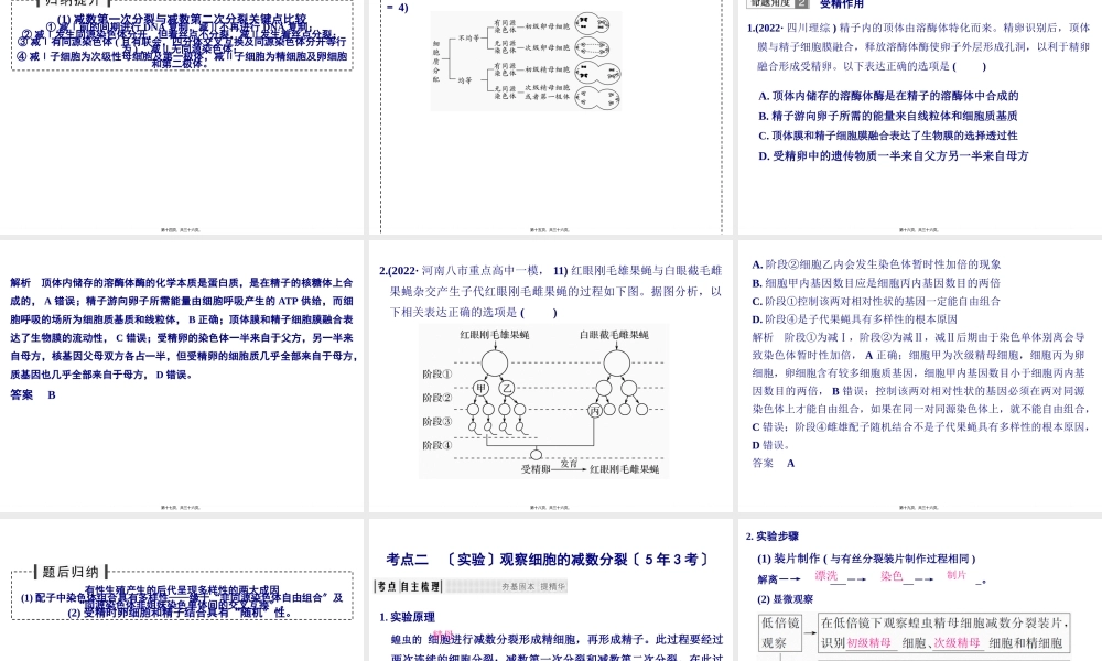 一轮复习动物精子和卵细胞的形成过程.pptx