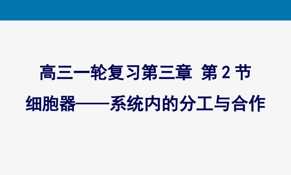 一轮复习《细胞器——系统内的分工合作.pptx